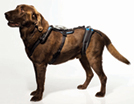 HelpEm Up Harness