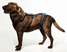 HelpEm Up Harness: Click to visit link